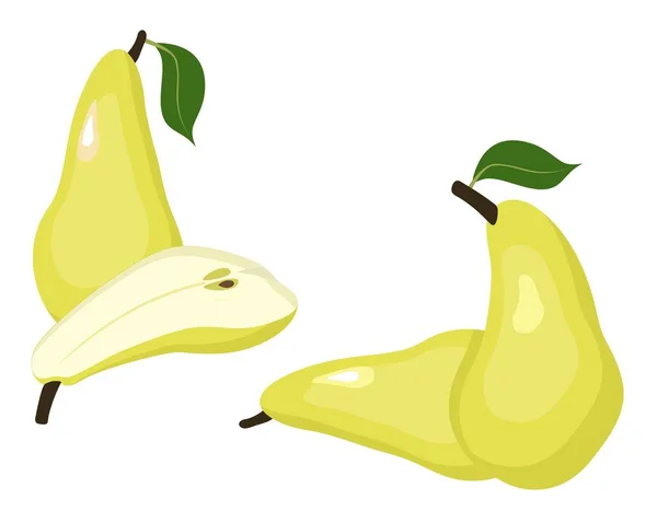 Pears vector illustration. Whole pear and a half conference pear fruit on white background. — Stok Vektör