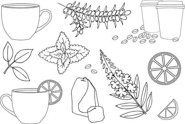 Cup Hot Tea Cup Herbal Tea Various Herbal Tea Ingredients — Stock Photo, Image