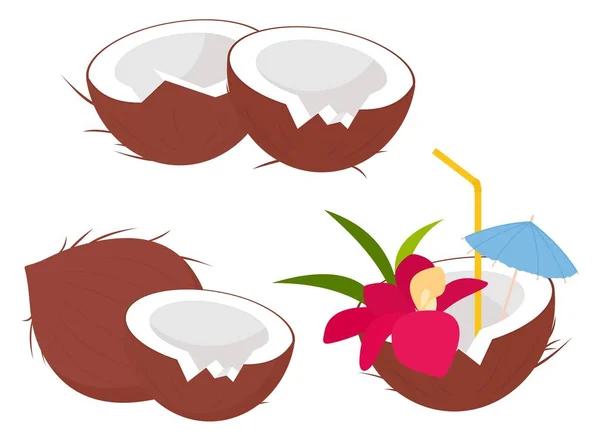 卡通风格的椰子收藏 椰子全部半 椰子新鲜果汁饮料 鸡尾酒椰子与喝秸秆与花 在白色背景查出的更大的皇家例证 — 图库照片
