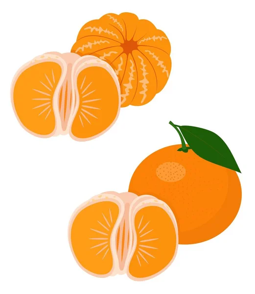 Mandariner Tangerine Clementine Med Blad Isolerad Vit Bakgrund Rolig Tecknad — Stockfoto