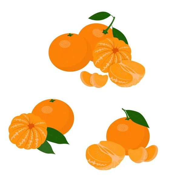 Mandarin, tangerine, clementine dengan daun terisolasi di latar belakang putih. Buah jeruk. Set Raster Illustration — Stok Foto