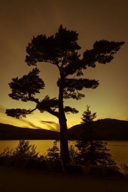 Acadia Milli Parkı, Maine