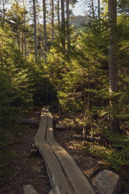 Acadia Milli Parkı, Maine