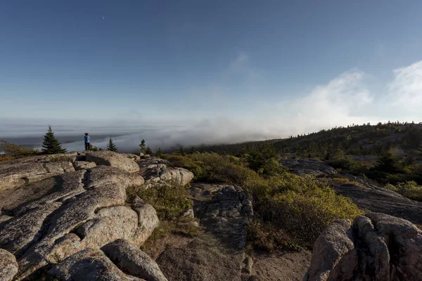 Acadia National Park Maine — Stockfoto