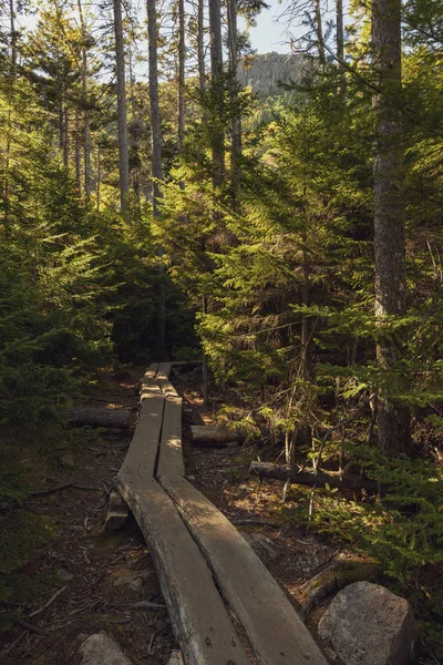 Park Narodowy Acadia Maine — Zdjęcie stockowe