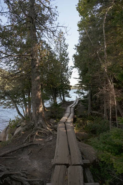 Acadia National Park Maine — Stockfoto