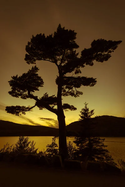 Parque Nacional Acadia Maine — Fotografia de Stock