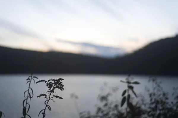 Calm Lake Evening Background — Stock Photo, Image