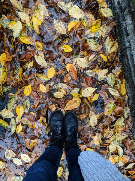 Vista Parziale Della Donna Foglie Cadute Autunno — Foto Stock