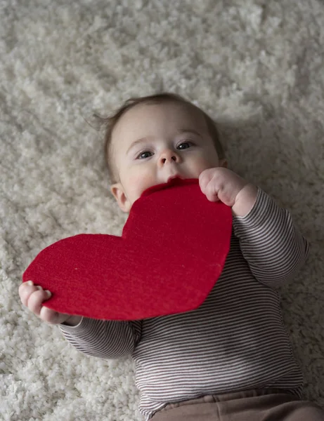 Portrait Little Cute Boy Holding Red Heart Home Stock Picture