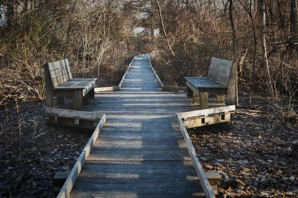 Pont Bois Dans Parc — Photo