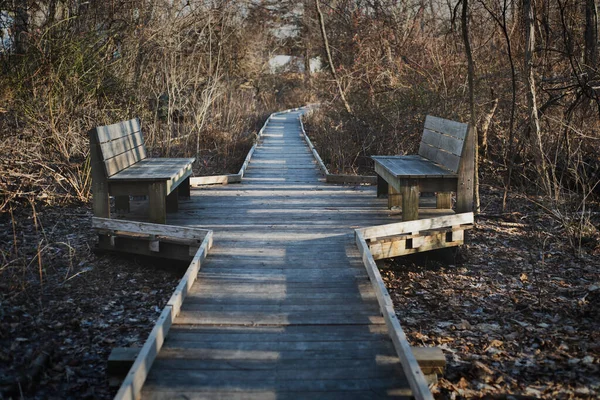 公園内の木製の橋 ロイヤリティフリーのストック写真