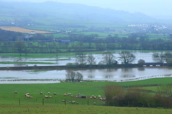 Axe Valley Inundado Pelo Rio Axe East Devon — Fotografia de Stock