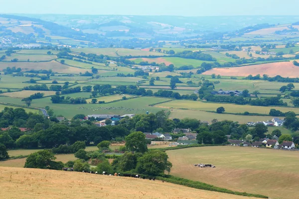 Wunderschöne Landschaft Ostdevon — Stockfoto