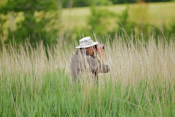 デヴォン州シートン湿地の葦の草から野生動物を観察するバードウォッチャー — ストック写真