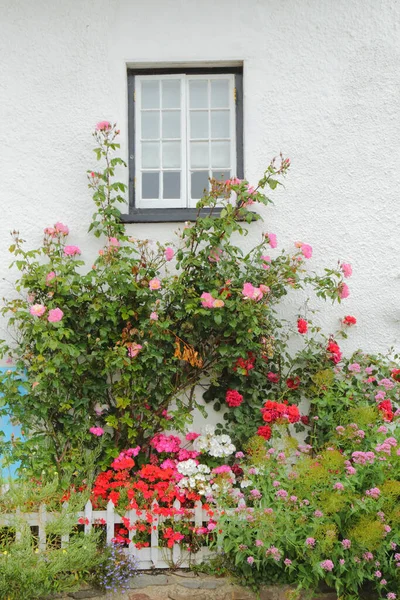 Piccolo Giardino Anteriore Nel Villaggio Lynmouth Devon — Foto Stock
