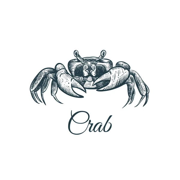 Crab schiță desen de mână . — Vector de stoc