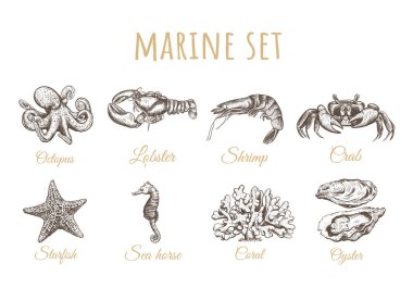 Ahtapot, deniz yıldızı, deniz atı, istiridye, mercan, ıstakoz, yengeç, karides 