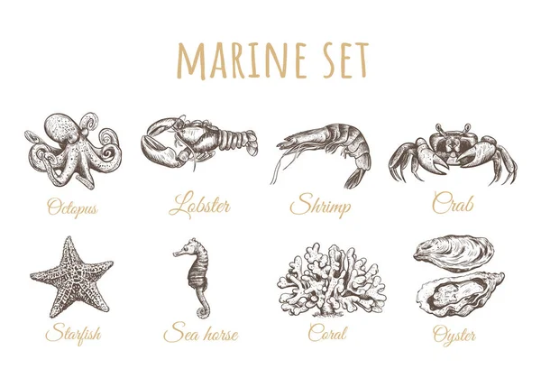 Gurita, bintang laut, kuda laut, tiram, karang, lobster, kepiting, udang - Stok Vektor
