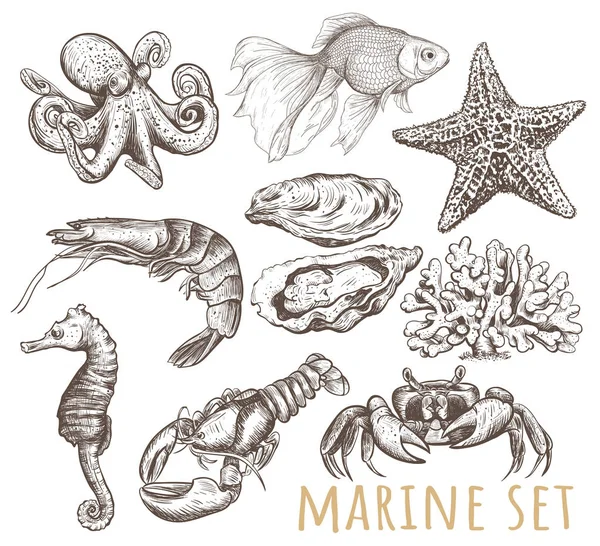 Koleksi hewan laut - Stok Vektor
