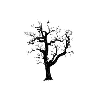 Kuru yaşlı ağaç korkunç. 