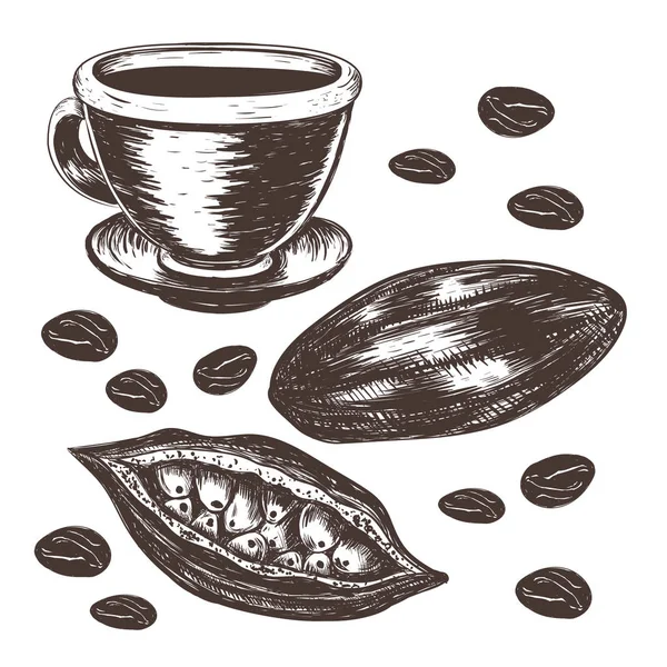 Fagioli di cacao, baccello di cacao, tazza di vettore di cacao — Vettoriale Stock
