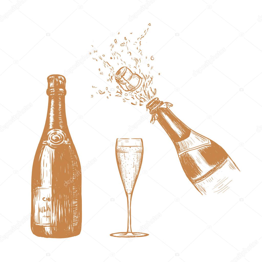 Champagne bottle and glass sketch illustration. 