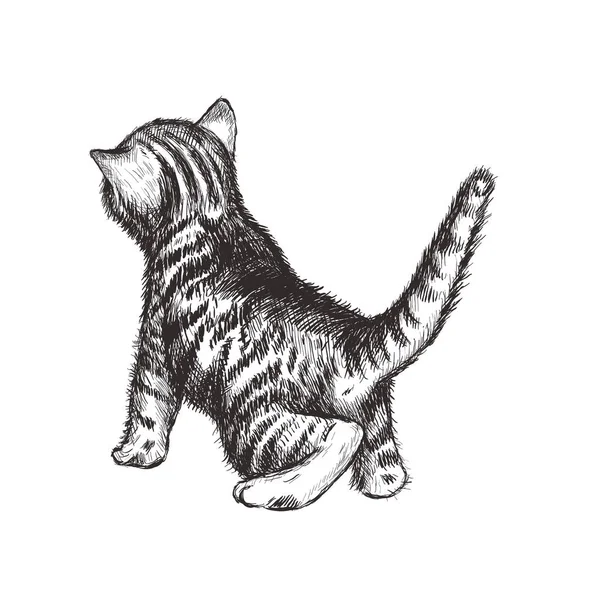 Кошеня малювання рук Векторні ілюстрації . — стоковий вектор