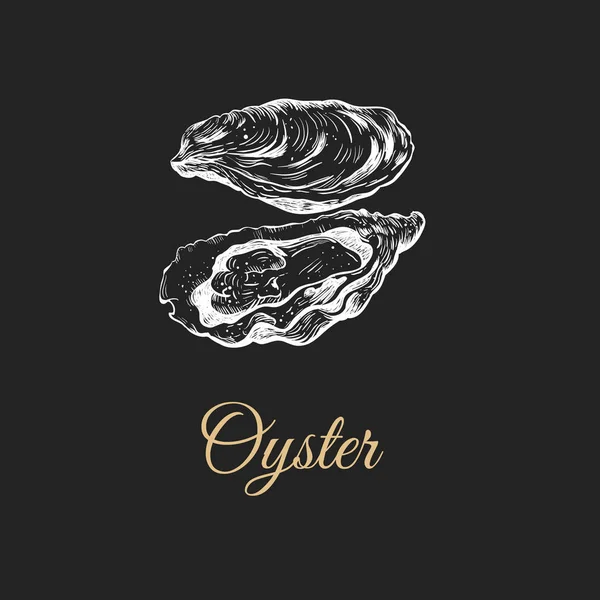 Oyster skiss vektorillustration. — Stock vektor