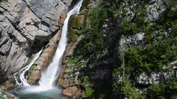 Wodospad Savica Naturalne Źródło Rzeki Sava Alpach Słoweńskich — Wideo stockowe