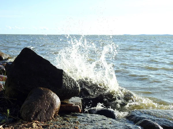 Stones Baltic Sea Coast Lithuania — Stock Photo, Image
