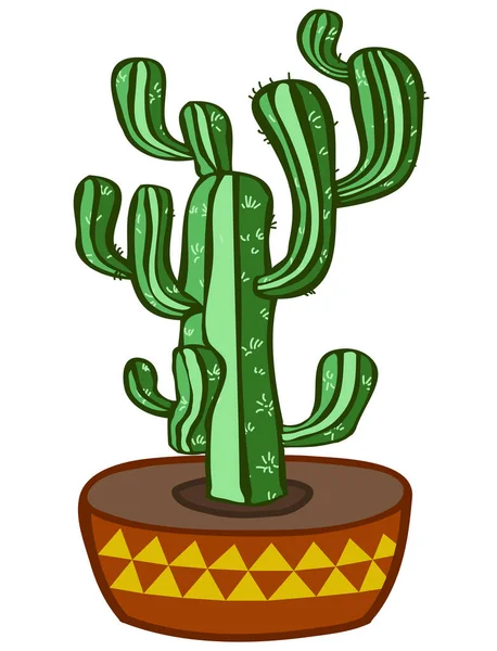 Planta Suculente Cactus Clip Art Naturaleza — Vector de stock