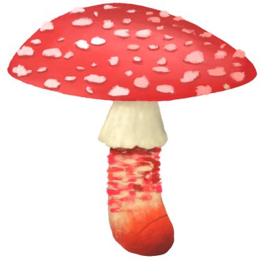 vahşi mantar simgesi, kırpma yolu dahil, illüstrasyon