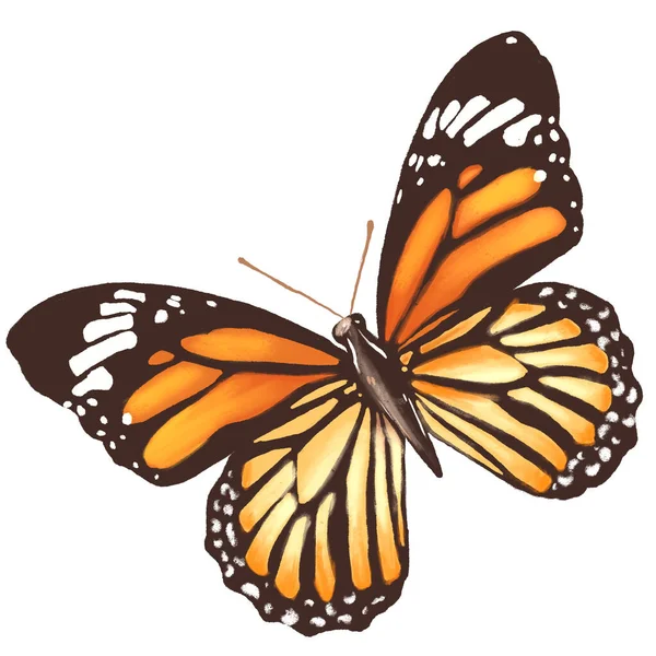 Butterfly Icon Clipping Path Included Illustration — Stock Photo, Image