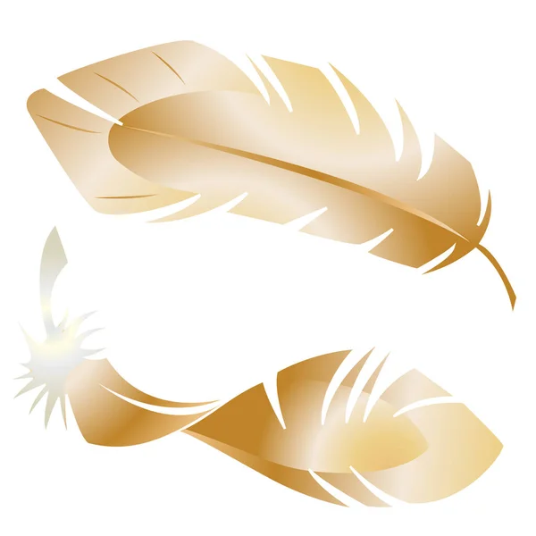 Stock Illustration Golden Bird Feathers — Stock Vector