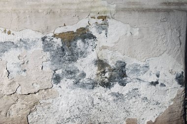 Yüksek detaylı parça taş beyaz duvar kökenli