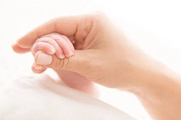 Mão de bebê recém-nascido segurando a mãe, mãe segurar o filho recém-nascido no branco — Fotografia de Stock