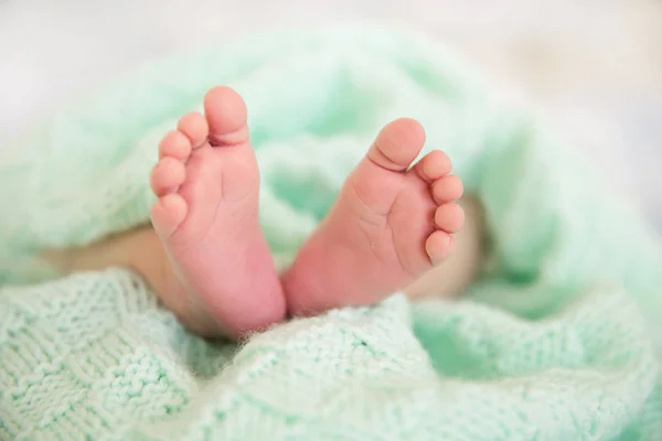 Recién nacido bebé pies, durmiendo recién nacido niño piernas — Foto de Stock