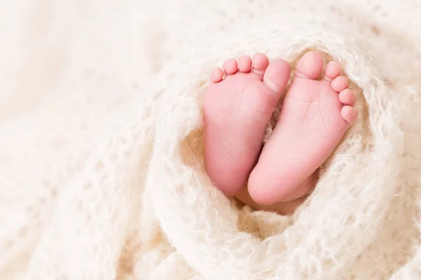 Feet of Newborn Baby, New Born Kid Legs in White Woolen Blanket — Stock Photo, Image