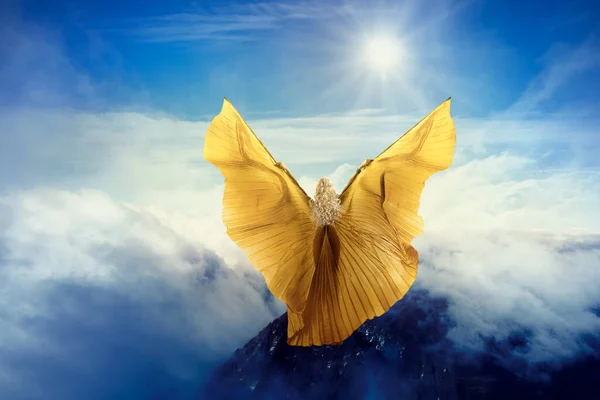 空を飛ぶ蝶の翼 山のピークに立つ女の子太陽への準備飛行 — ストック写真