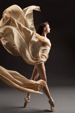 İpek Kumaşlı Balerin, Pointe Ayakkabılı Bale Dansçısı, Uçan Bej Kumaş, Gri Örtü