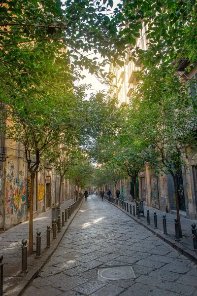 Een Straat Napels Met Bomen Die Een Bladerdak Vormen — Stockfoto