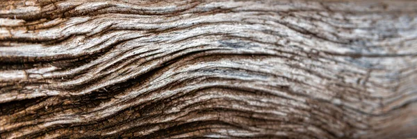 Поверхня Дерев Яної Дошки Ідеально Підходить Фонів Текстур — стокове фото