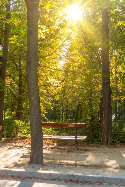 Licht Filtert Frühherbst Durch Die Bäume Einem Park — Stockfoto
