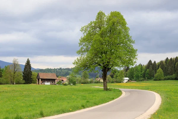 乡村道路 斯洛文尼亚南部的风景 — 图库照片