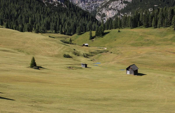Huts Pastures Prato Piazza Braies Valley —  Fotos de Stock