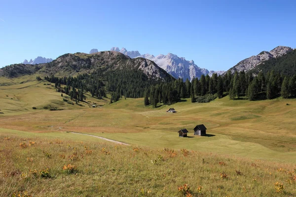 Cabañas Pastos Prato Piazza Valle Braies —  Fotos de Stock