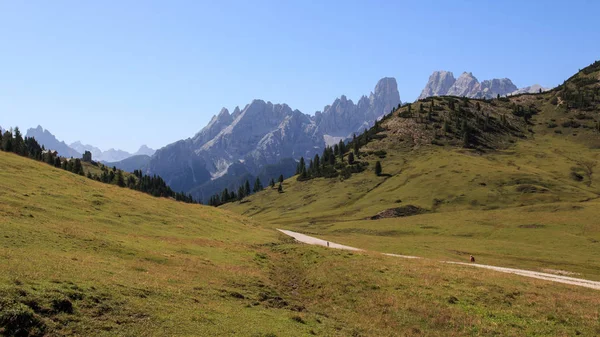 Widok Krajobraz Zielonych Łąk Dolomity Włochy — Zdjęcie stockowe