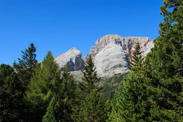 Croda Rossa Desde Prato Piazza Trentino Alto Adigio —  Fotos de Stock