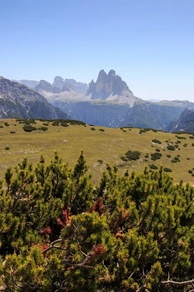 Panorama Van Mount Soorten Dolomieten Achtergrond Pieken Drie Van Lavaredo — Stockfoto